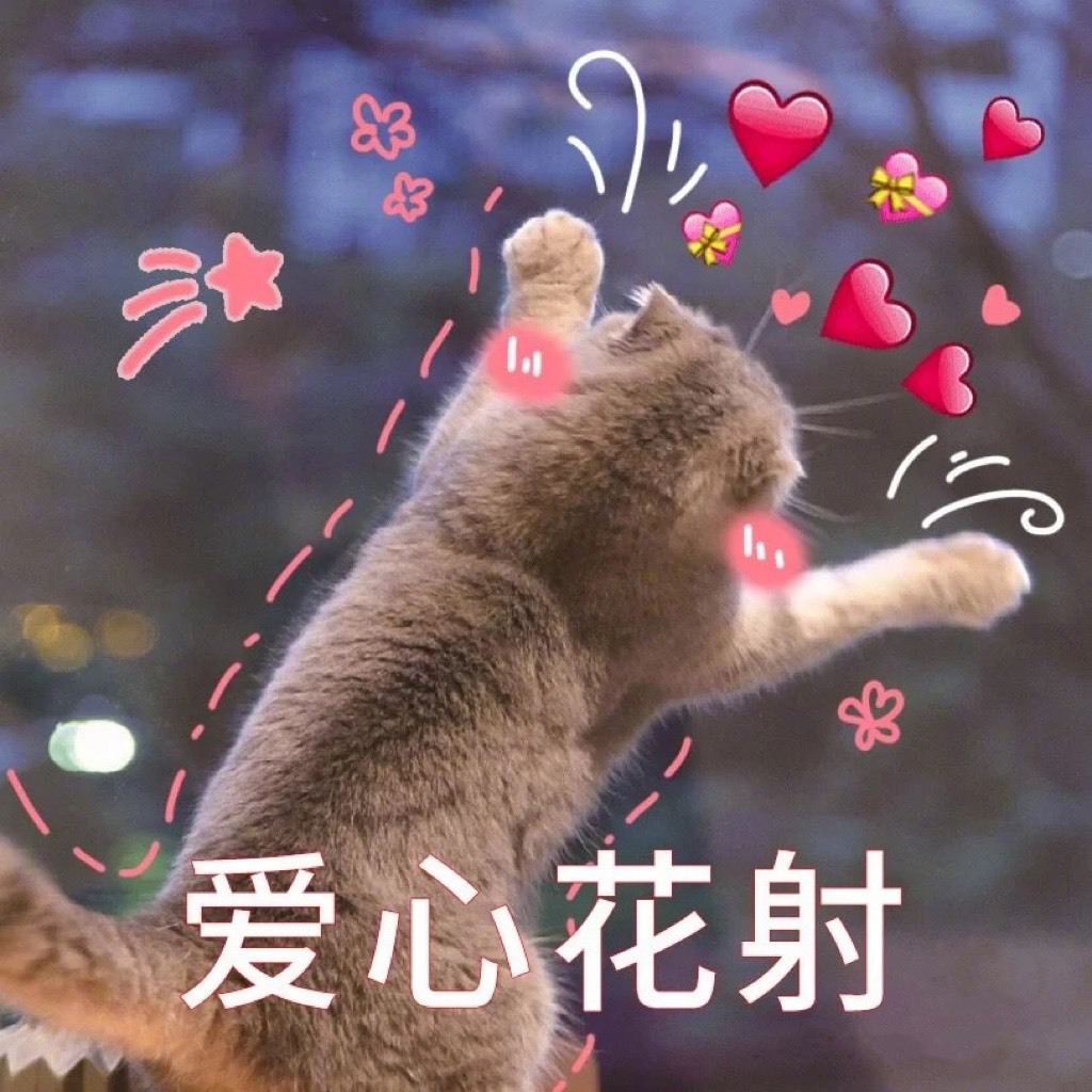 木子不姓李吖的图片