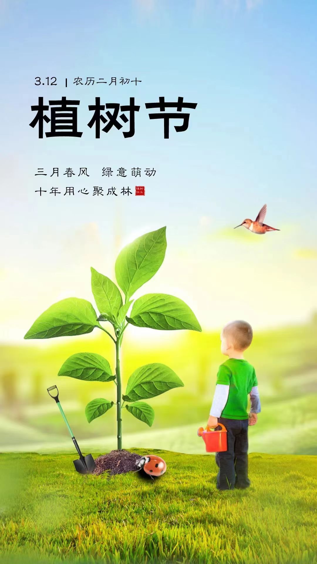 安琪同学的图片