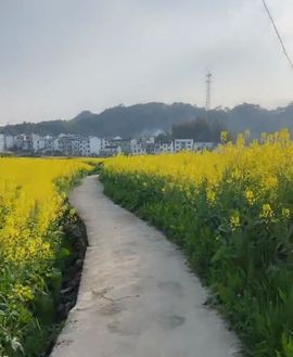 果果(平安好运)主播照片