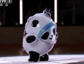我滴个乖乖💠主播照片