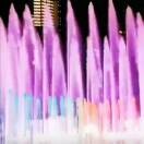 逍遥子zp的头像