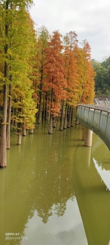 好好学习👏的主播照片