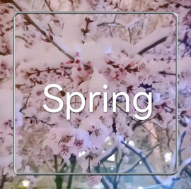 雪菜♫好运好运旺主播照片