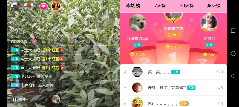 小谢农村田园生活的图片