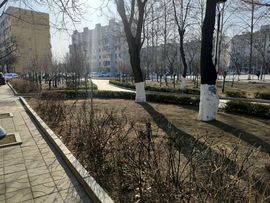 你好扎，好无耻主播照片