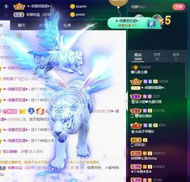 萌新不一定新主播照片