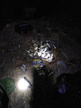 艾玛失踪人口主播照片