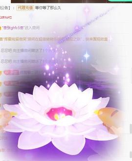 🎼关关🎼主播照片