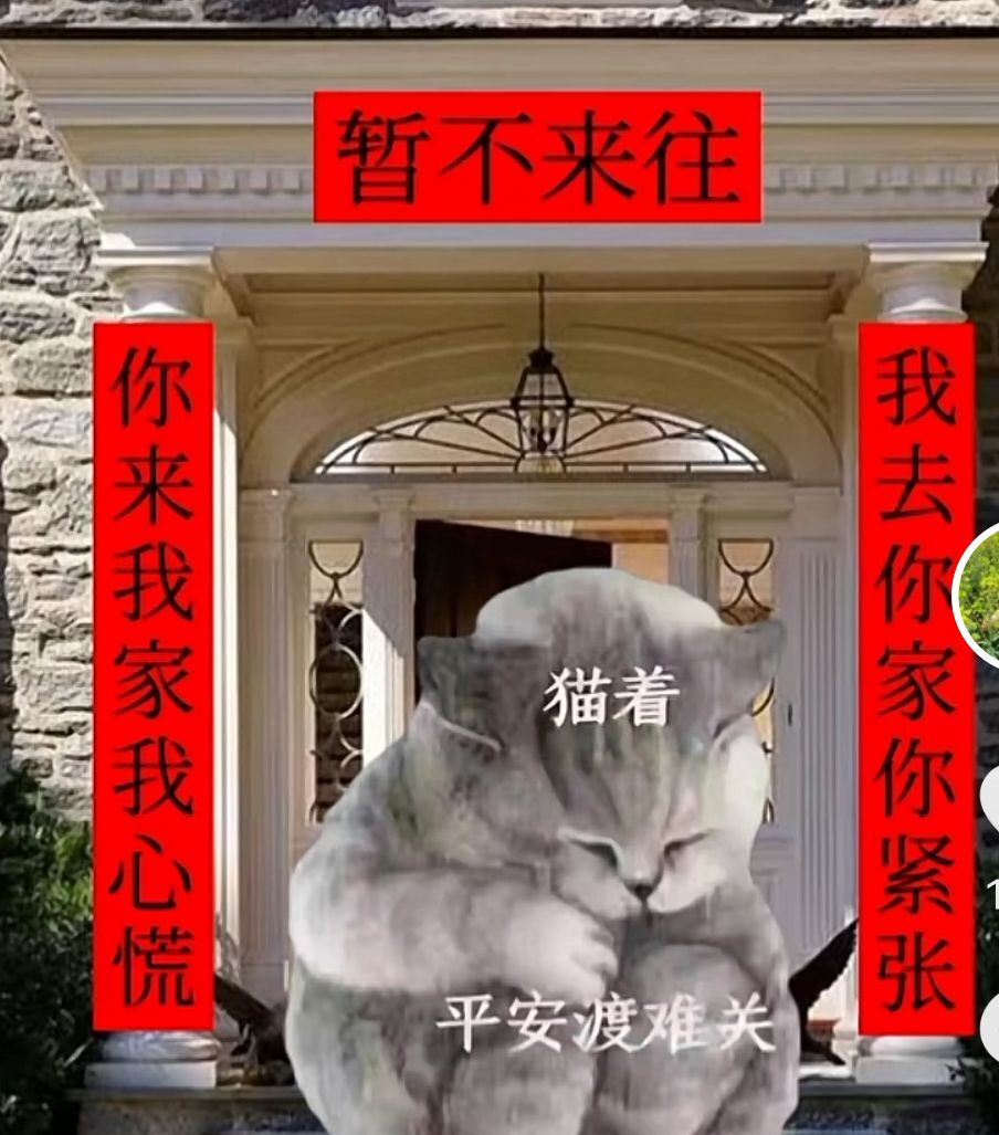 丑小鸭💞愿有一束光的图片