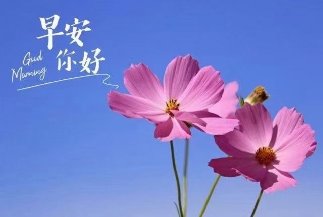 婷婷💕感恩有你陪伴的图片