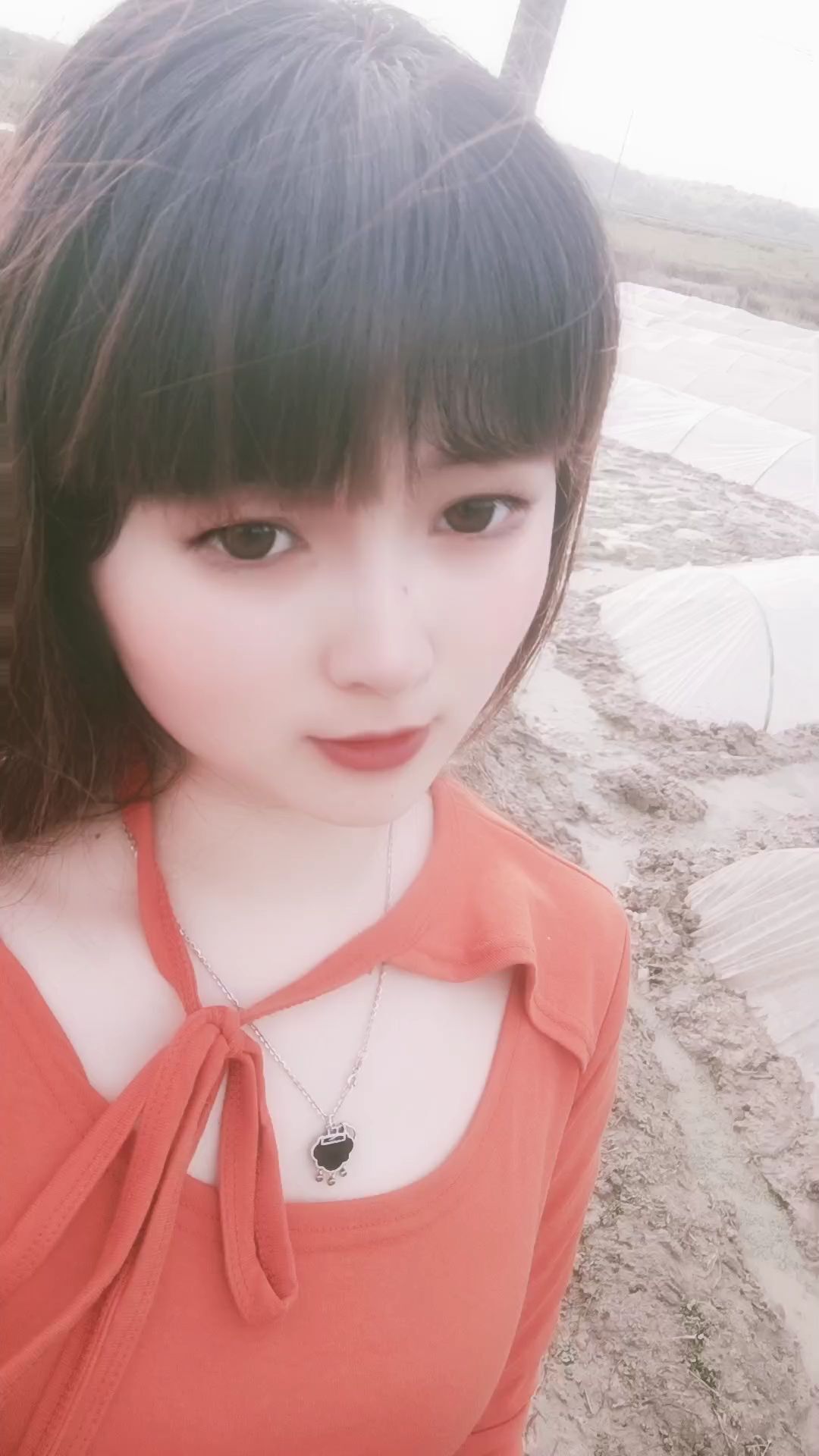 菲儿🌻加油的图片