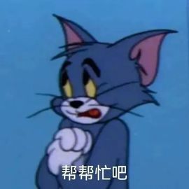 阳阳💕晚上见主播照片