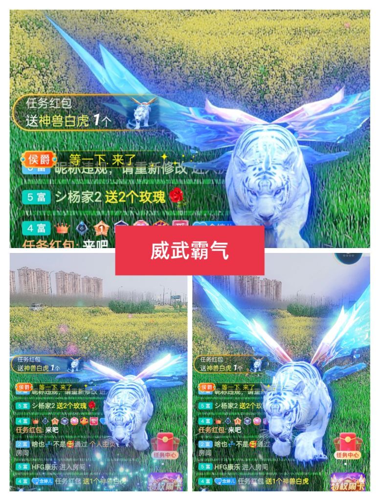 婷婷💕感恩有你陪伴的图片