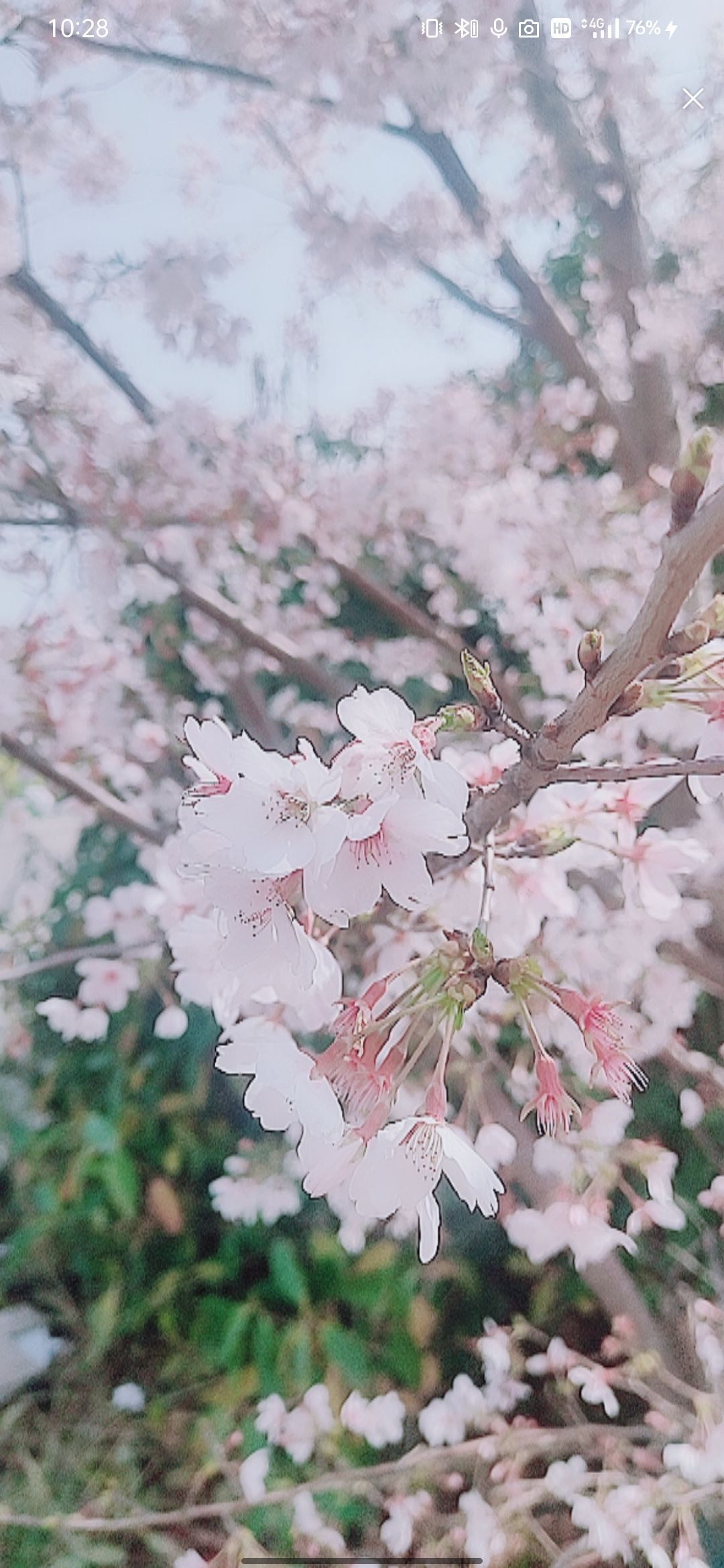 婷婷💕感恩有你陪伴的图片