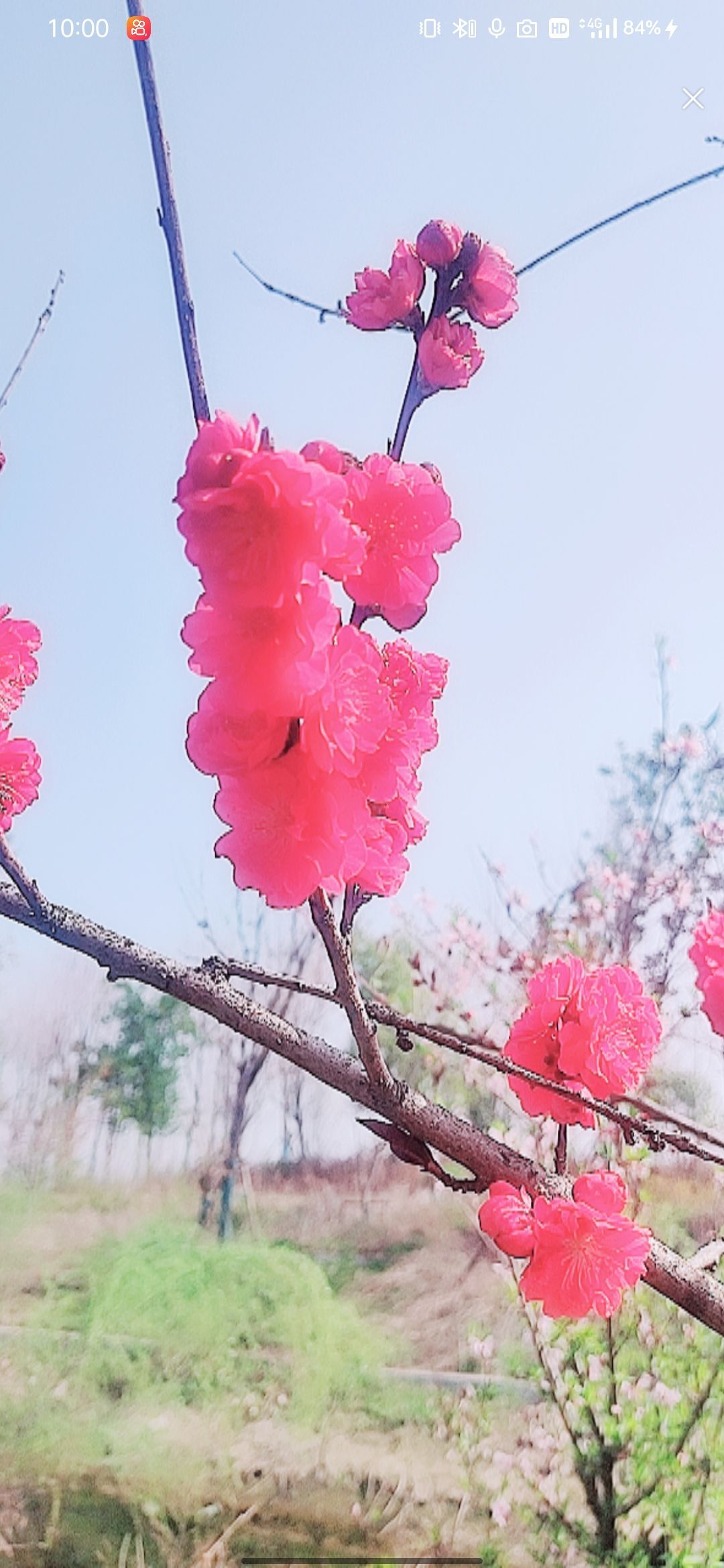 婷婷💕感恩有你陪伴的图片