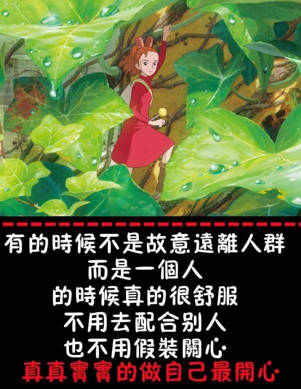 @一江東去@照片的图片