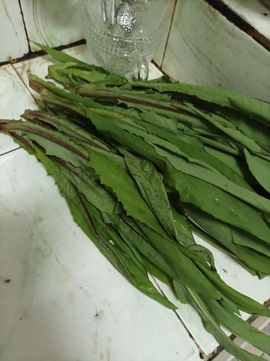👑䒕暖宝好运旺旺旺主播照片