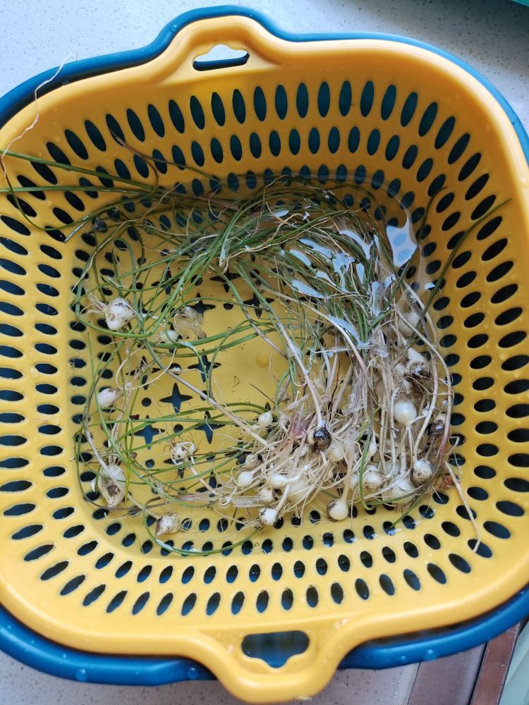 ꧁錵鐦^錵鑼ღ꧂主播照片