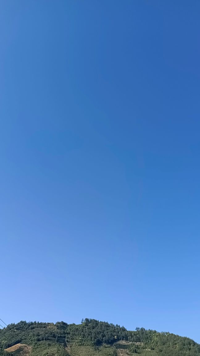 玟玟🌸的图片