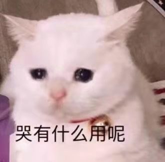 清恬🍑生病的主播照片