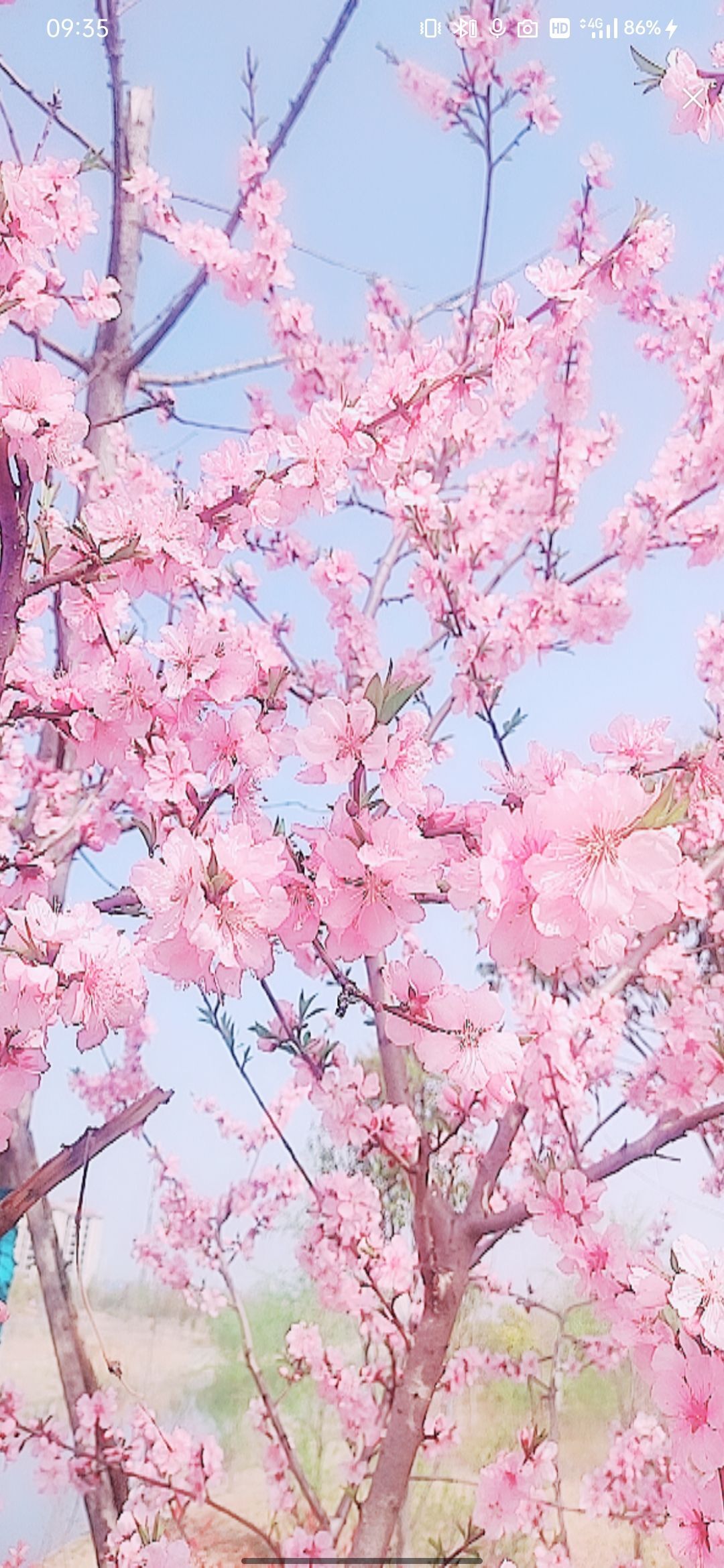 婷婷💕感恩有你陪伴的图片