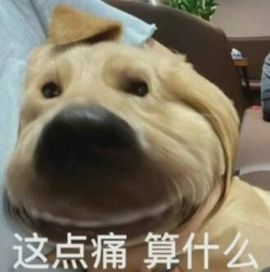 超甜糖经理深情演唱主播照片