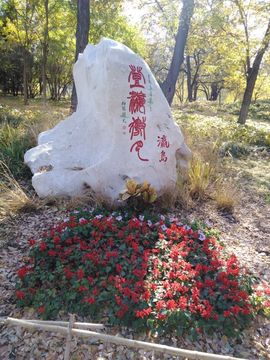 心动ぐつ樱桃啊看花主播照片