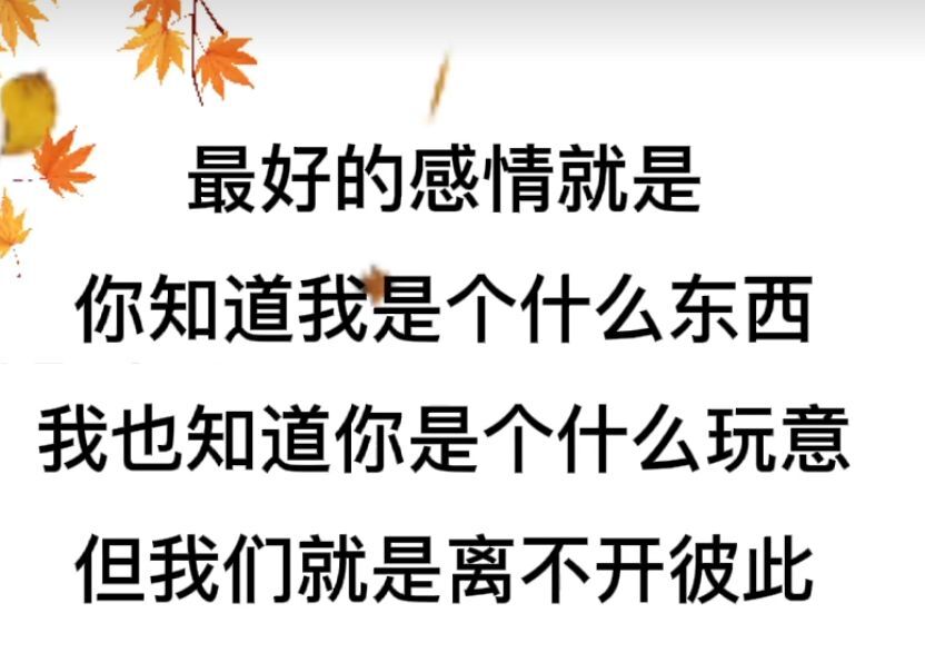 丑小鸭💞愿有一束光的图片