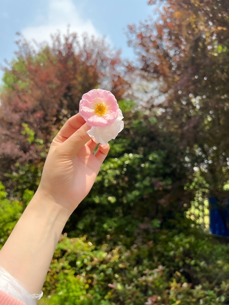 Lッ♥✿小白白的图片
