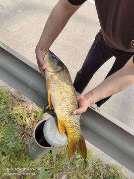 🌾主任→か弎哥✨主播照片