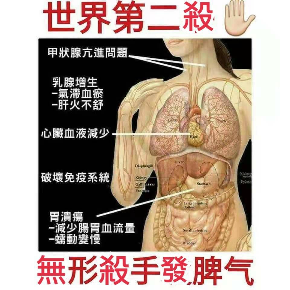 @一江東去@照片的图片