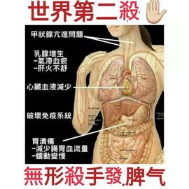 @一江東去@照片的图片
