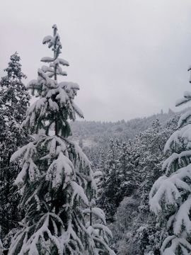 初遇欣颜主播照片