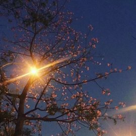 დ释怀დ主播照片