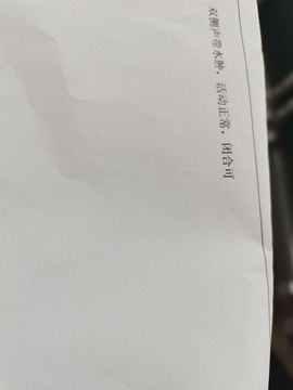 🍀冰雪❤️🍀加油的图片