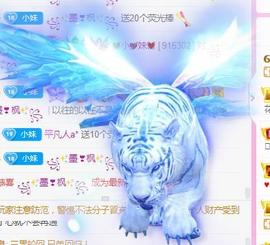 💓小香猪💓主播照片