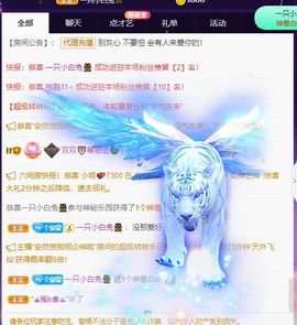 🐯双双🍀主播照片