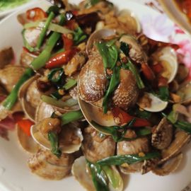 茶茶大吉大利主播照片