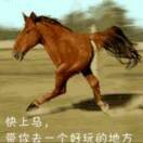 美好幸福l
