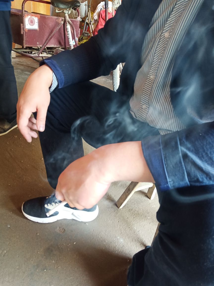 果果(平安好运)的图片