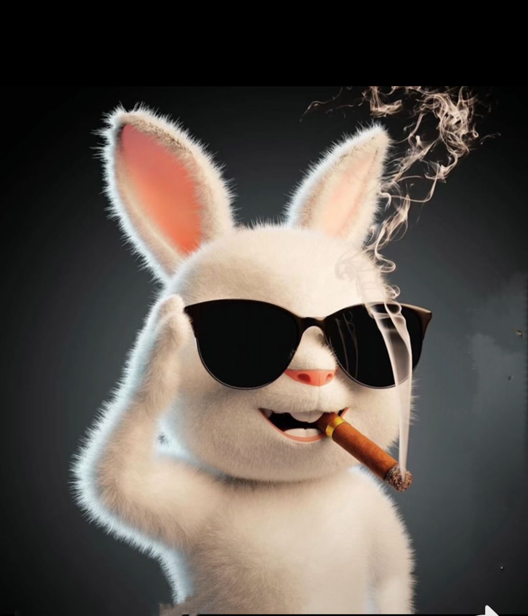 北北💋周年谢谢大家的图片