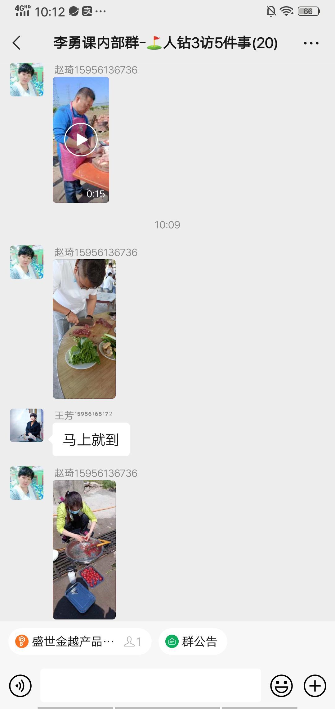 果果(平安好运)的图片