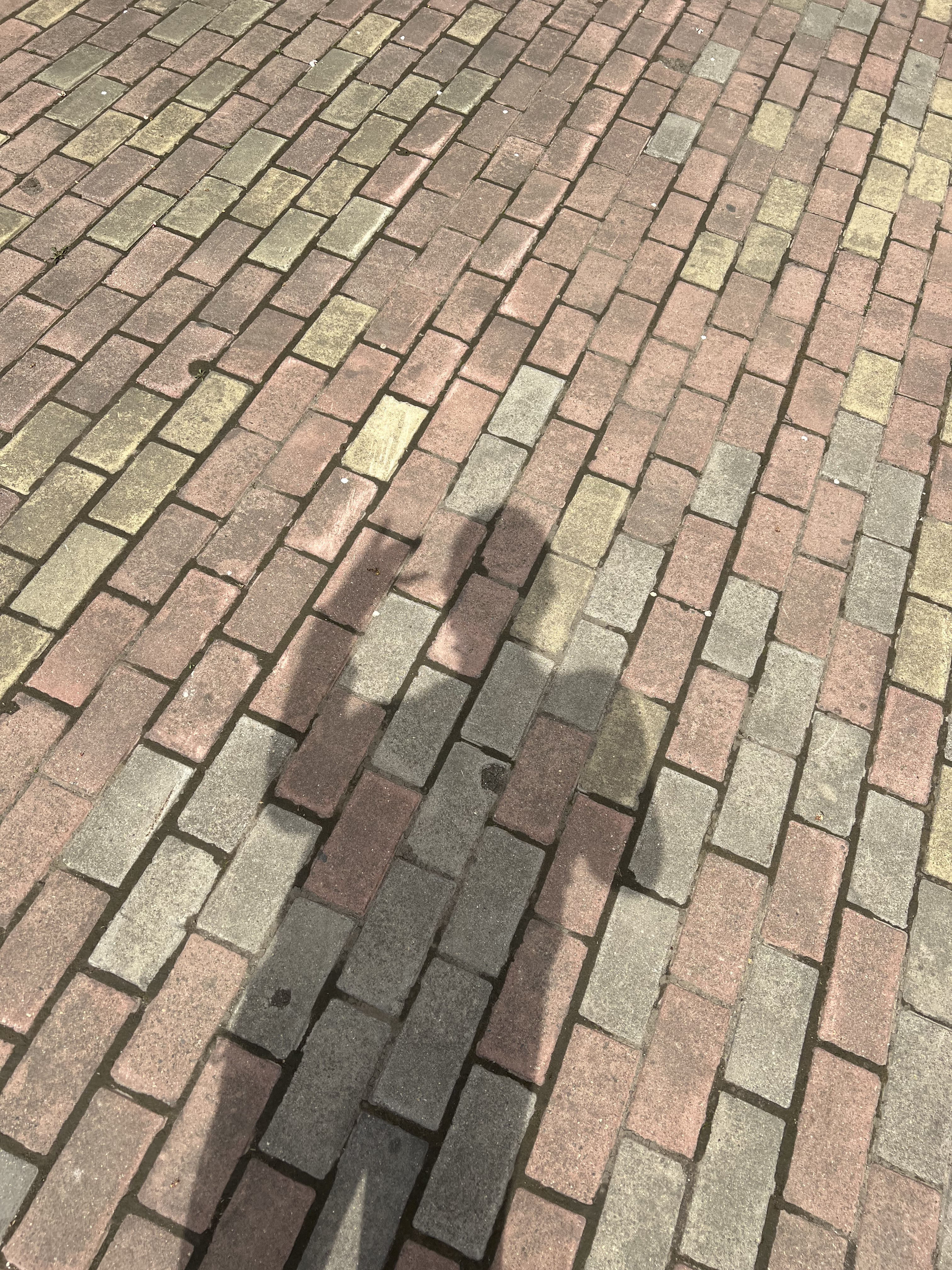 ♬茄酒人生♫主播照片