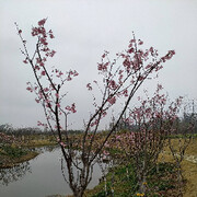 专属你的优乐美！海报
