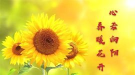 美妞ღ美美美！主播照片