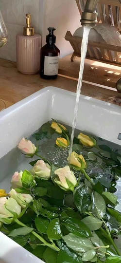 章鱼🎊主播照片