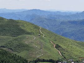 名称违规“请重新修改的图片
