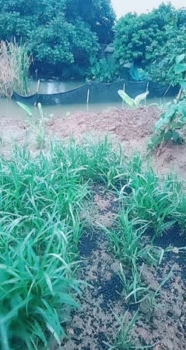 甜蜜未来乐在心怀主播照片