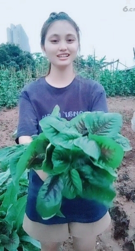 甜蜜未来乐在心怀主播照片
