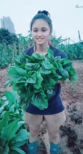 甜蜜未来乐在心怀主播照片